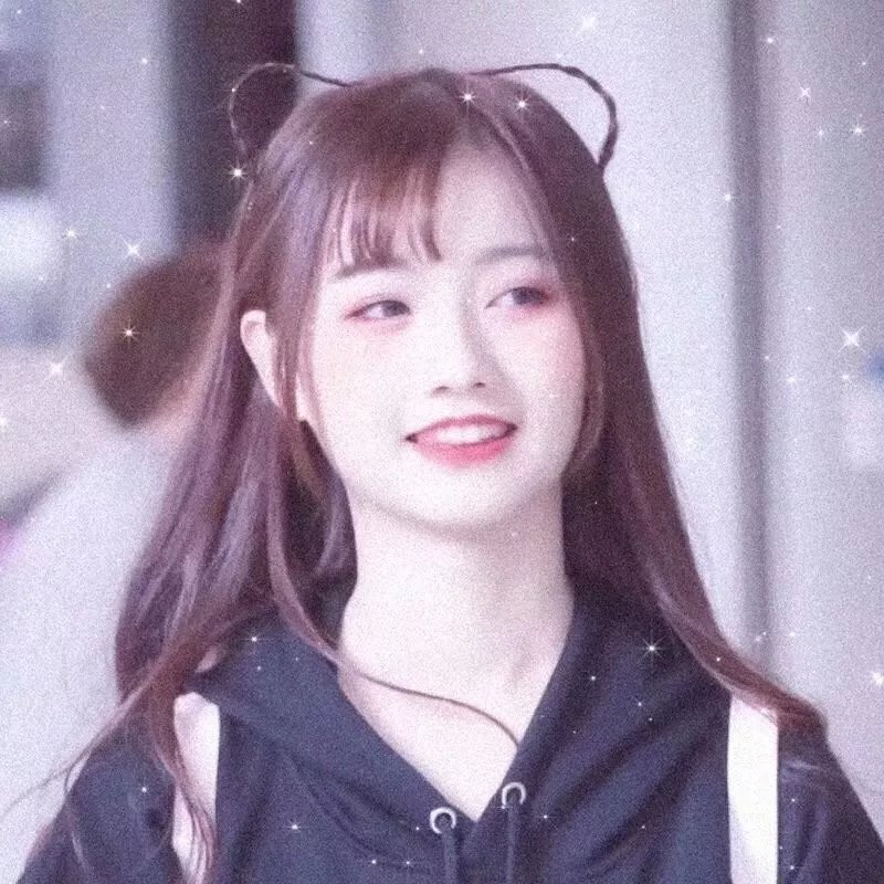 与鲨同游